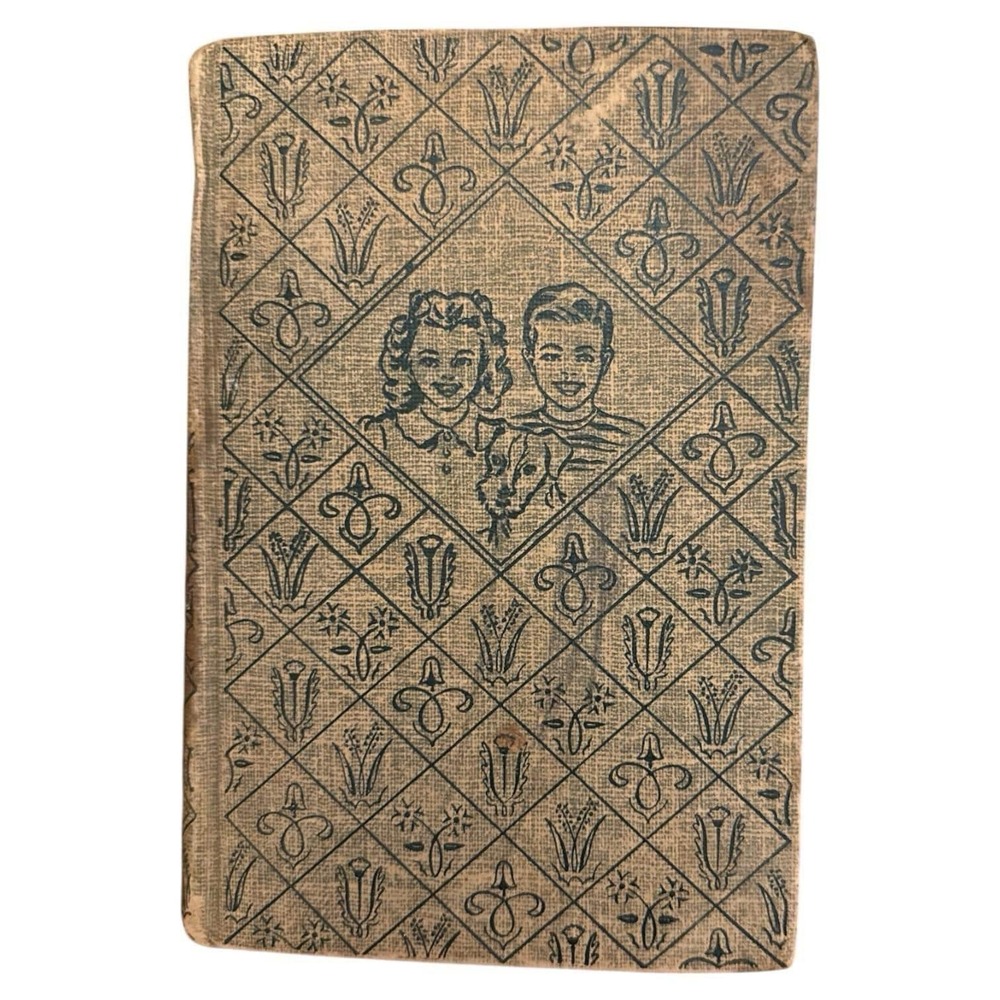The Bobbsey Twins and‎ Their Schoolmates Laura Lee Hope 1928 Vintage HB Book